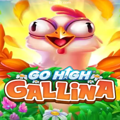Discover the Exciting World of GoHighGallina